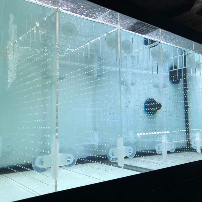 RA AquaTech Acrylic Aquarium Divider Kit with Suction Cups for 10 / 20L / 20H / 29 / 40B / 55 / 75gal Standard Fish Tank (20gal High) - Image 1